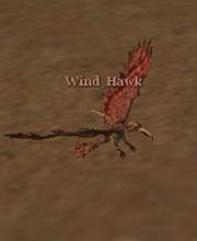 Wind Hawk